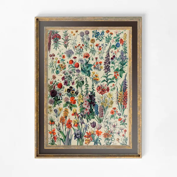 Alphonse Millot Art Nouveau Floral Poster Print