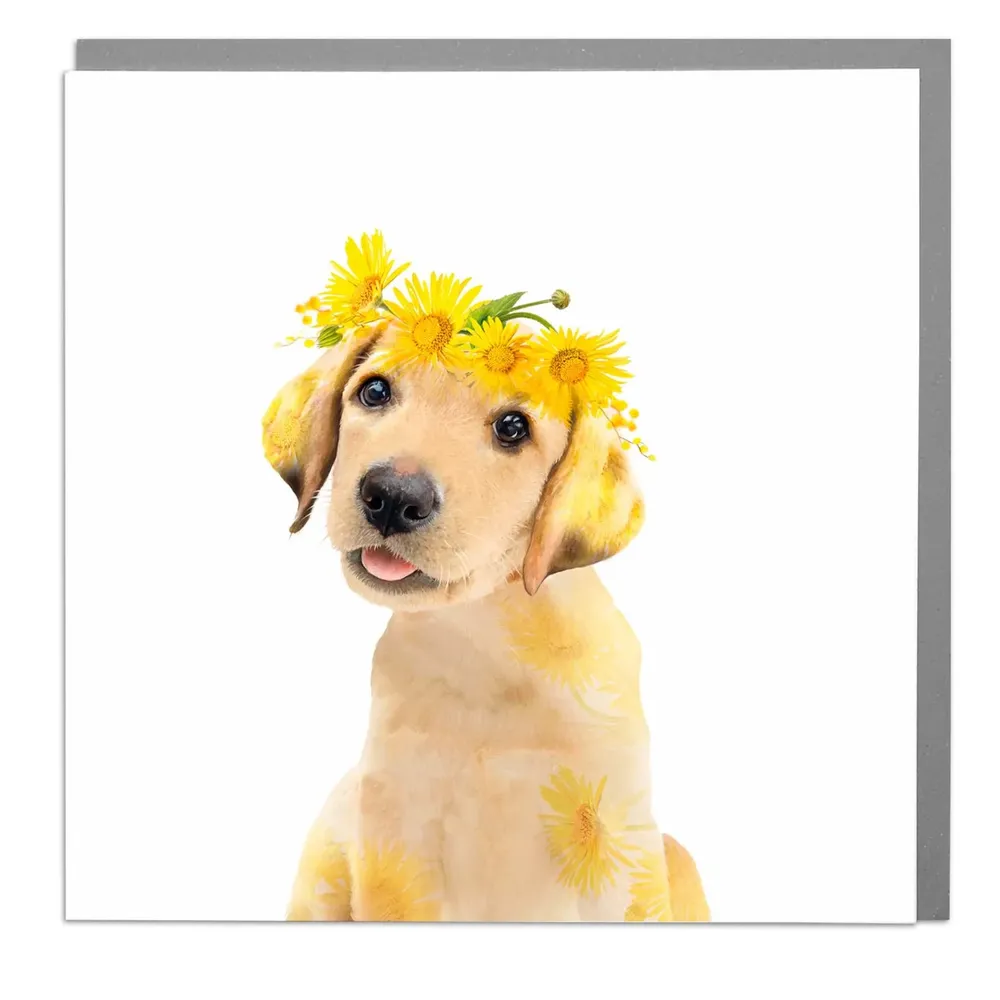 Labrador Greeting Card Art Print