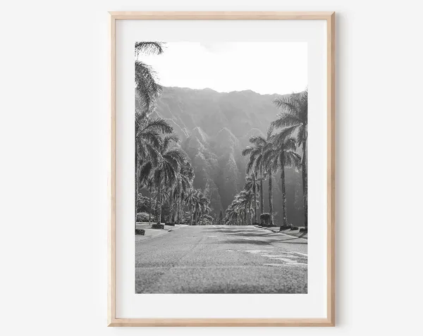 Hawaii Black and White Travel Poster, Maui Beach