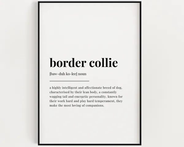 Border Collie Definition Meaning Poster Print