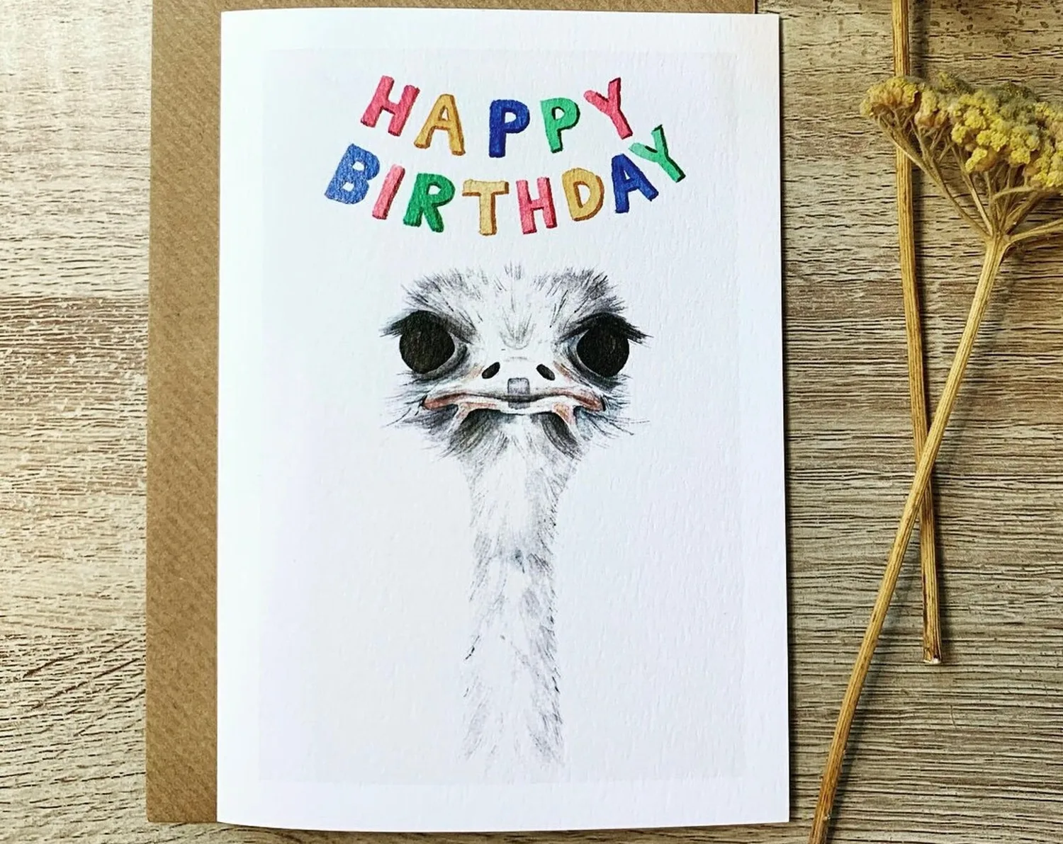 Ostrich Birthday Banner Art Print