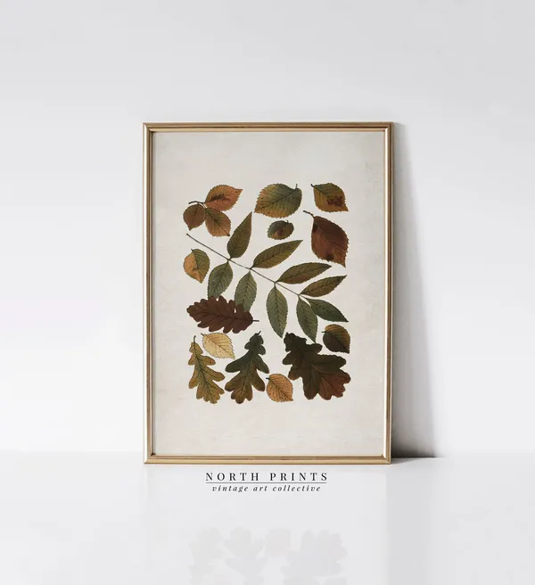 Antique Autumn Botanical Leaf Art Print, Fall Decor