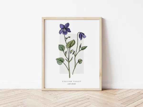 English Violet Botanical Outline Vintage Art Print