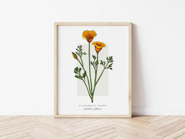 Poppy Botanical Outline Vintage Watercolor Art Print