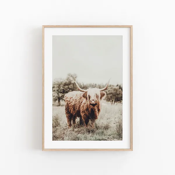 Highland Cow Art Print, Scotland Gallery Wall Set