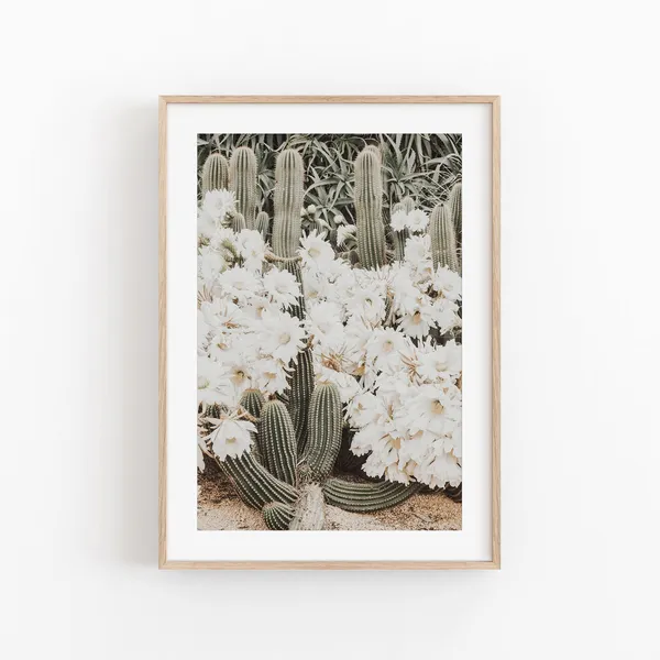 Cactus Nature Art Print, Tropical Wall Decor