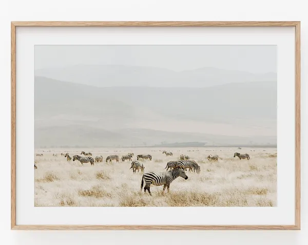 Zebra Landscape Art Print, Mountain Nature Study