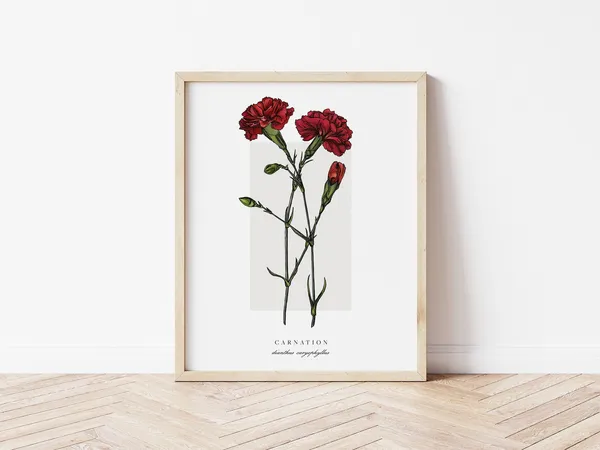 Carnation Botanical Outline Vintage Watercolor Art Print