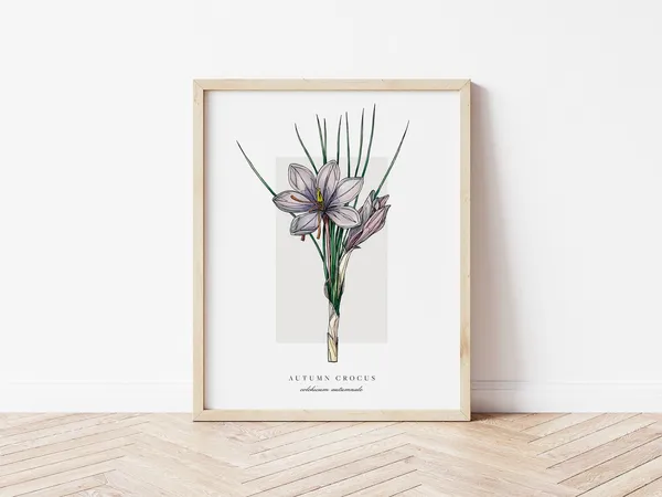 Autumn Crocus Botanical Outline, Vintage Watercolour Art Print