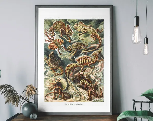 Vintage Haeckel Lizard Poster, Antique Nature Illustration
