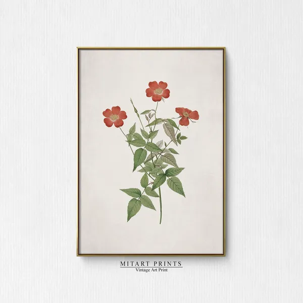 Antique Botanical Vintage Flower Art Print