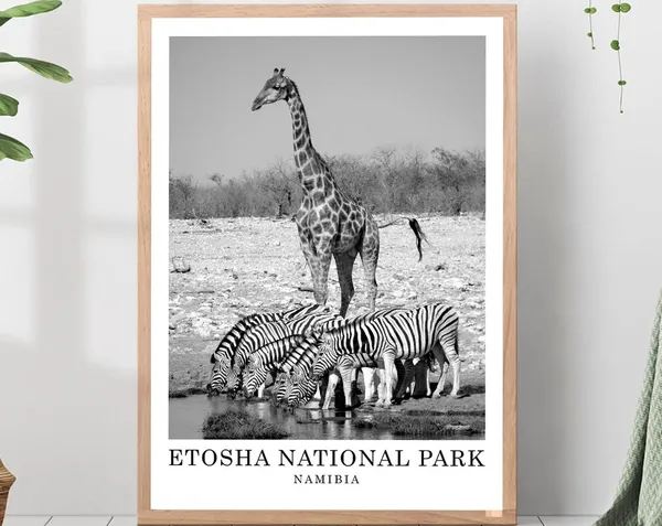 Etosha National Park Namibia Travel Poster, Minimalist