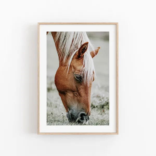 Wild Horse Nature Art Print, Living Room Decor