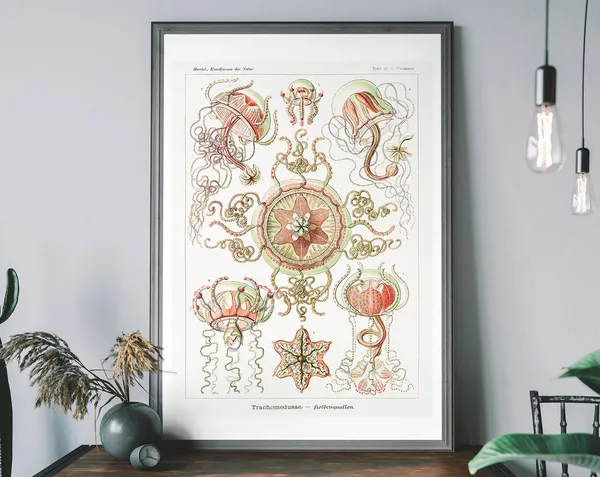 Vintage Jellyfish Art Print, Haeckel Science Diagram