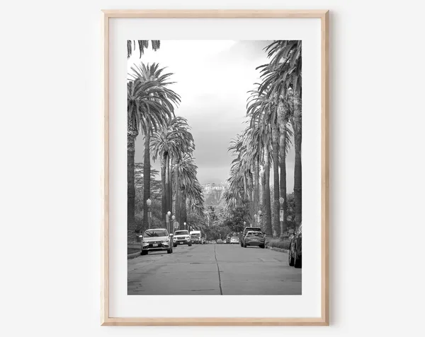 Los Angeles Palm Trees Wall Art Print