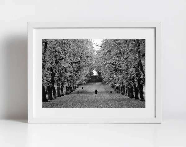 Glasgow Queens Park Autumn Foliage Art Print