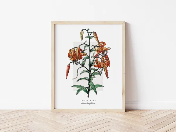 Tiger Lily Botanical Outline Vintage Watercolour Art Print