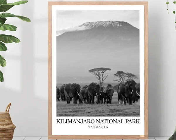 Kilimanjaro National Park Black White Poster Print