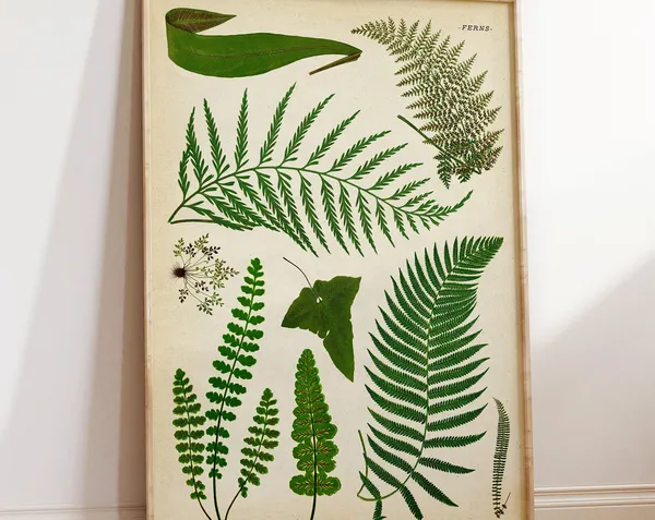 Botanical Fern Vintage Style Art Print