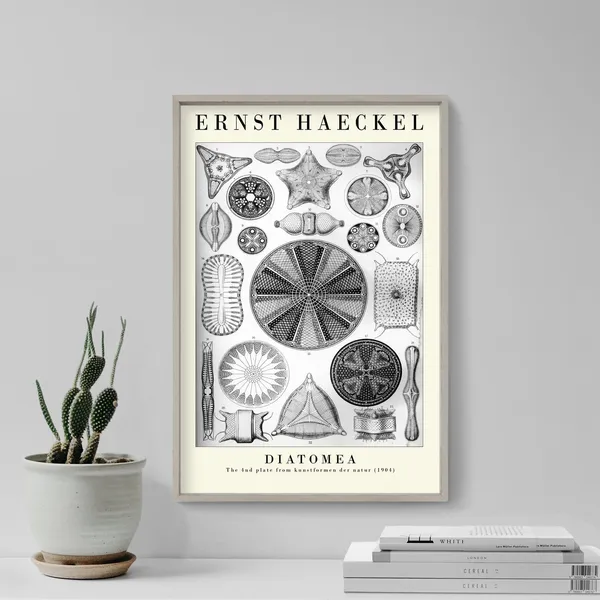 Ernst Haeckel Diatomea Plate 04 Botanical Art Print