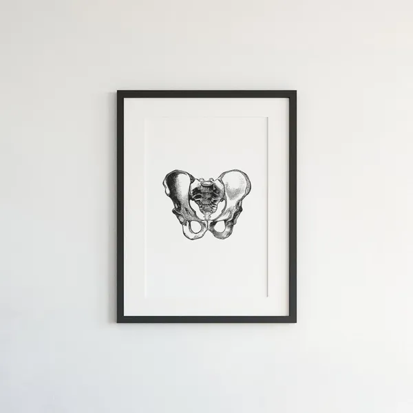 Hips Anatomy Print, Vintage Medical Wall Art