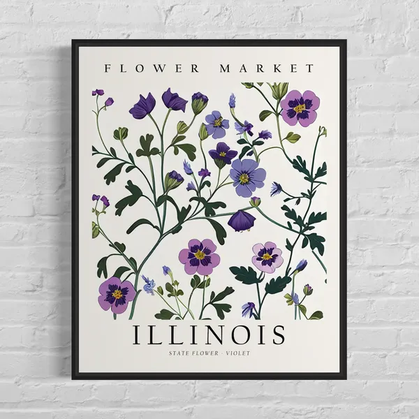 Illinois State Flower Violet, 1960s Botanical Art Print