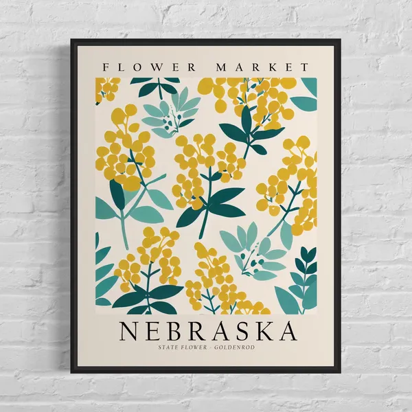 Nebraska State Flower Goldenrod, 1960s Botanical Art Print