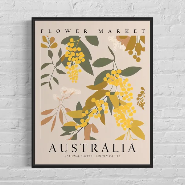 Golden Wattle 1960s Botanical Art Print, Australia
