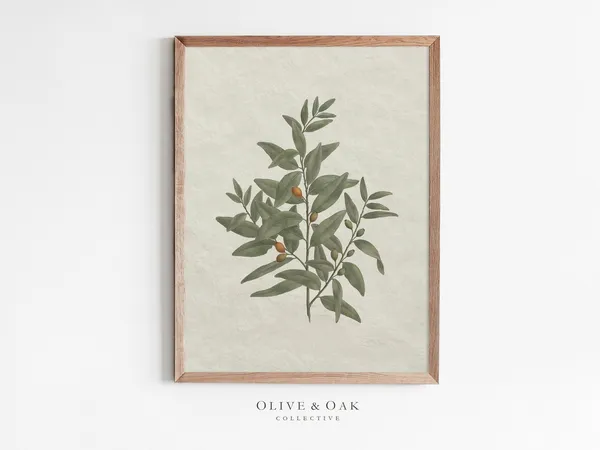 Vintage Botanical Olive Branch Sketch, Kitchen Art Print