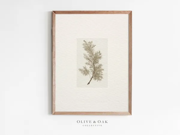 Vintage Tree Branch Drawing, Antique Botanical Art Print