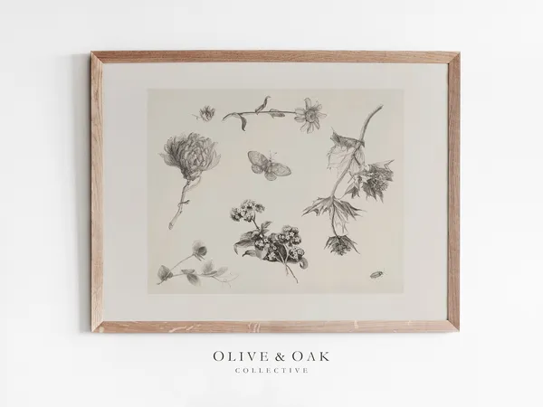 Rustic Flower Sketch, Antique Botanical Art Print