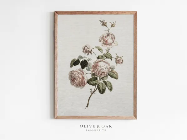 Vintage Blush Rose Botanical Art Print, Nursery Decor