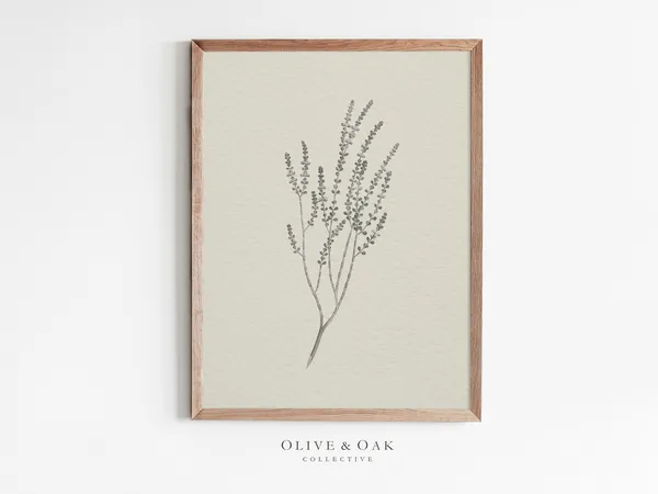 Rustic Branch Sketch, Vintage Botanical Art Print