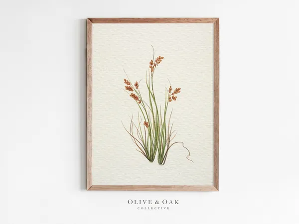 Antique Botanical Flower Print, Vintage Farmhouse Art Print