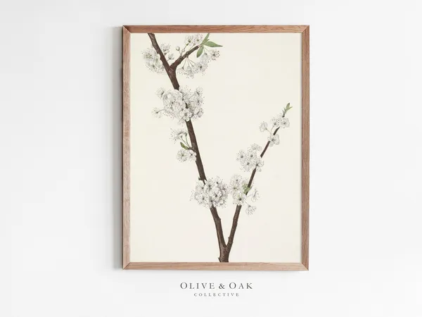 Spring Botanical Print, White Blossom Branch Drawing