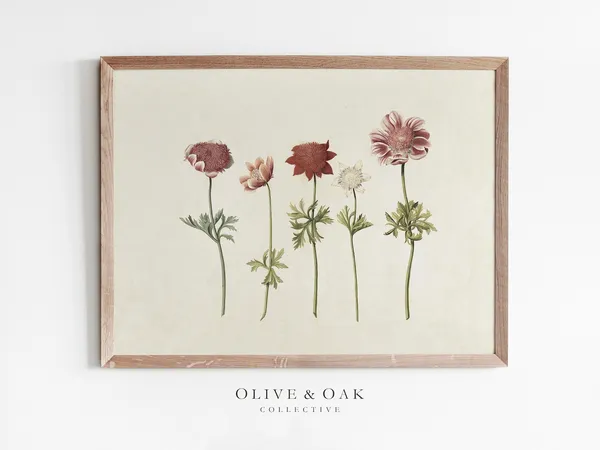 Antique Flower Drawing, Rustic Botanical Art Print