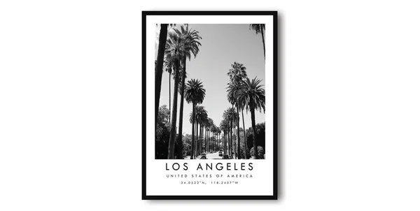 Los Angeles Black And White Palm Trees Art Print