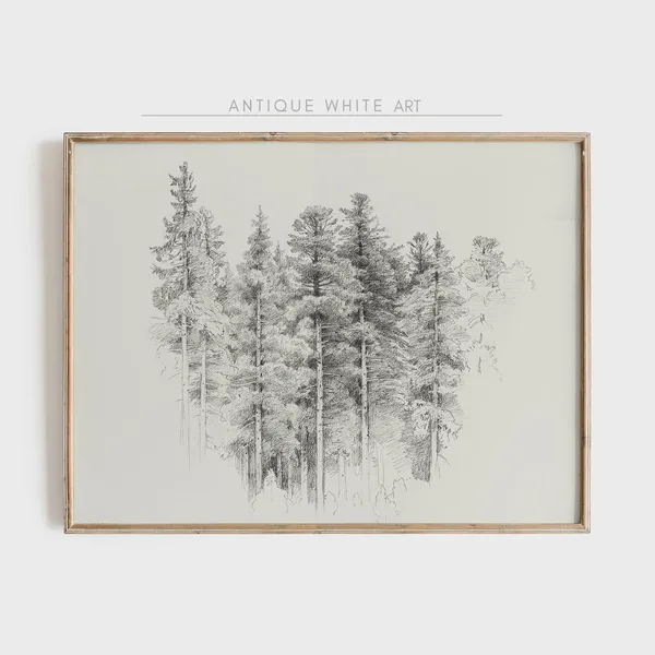 Vintage Forest Sketch, Black And White Art Print