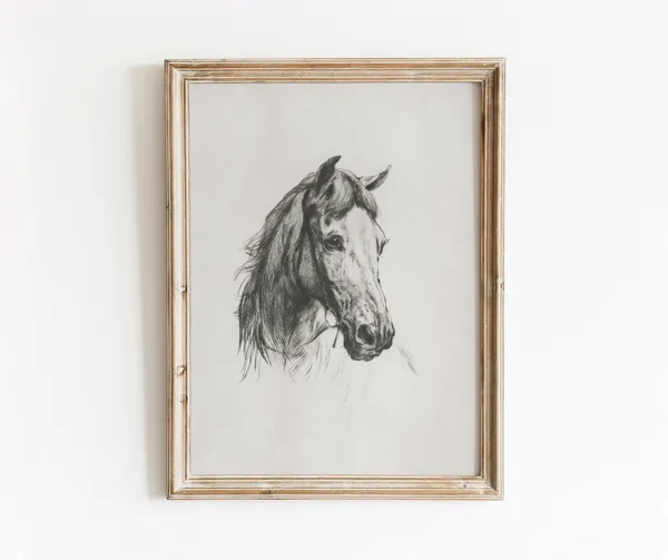Horse Etching Vintage Black and White Art Print