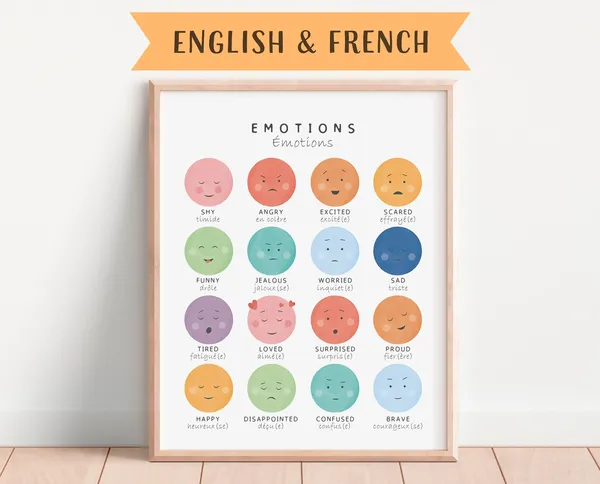 Bilingual French Educational Poster, Playroom Learning