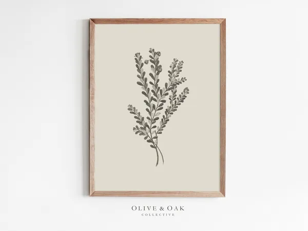 Botanical Branch Drawing, Simple Flower Art Print