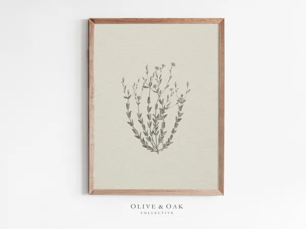 Neutral Botanical Drawing, Vintage Flower Sketch Poster