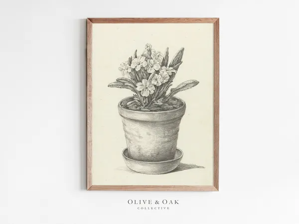 Botanical Sketch Vintage Flower Drawing, Farmhouse Art Print