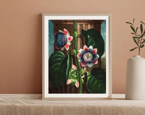 Vintage Passion Flower Botanical Tropical Art Print
