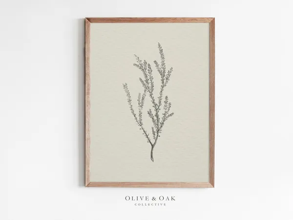 Vintage Botanical Sketch, Farmhouse Decor Art Print