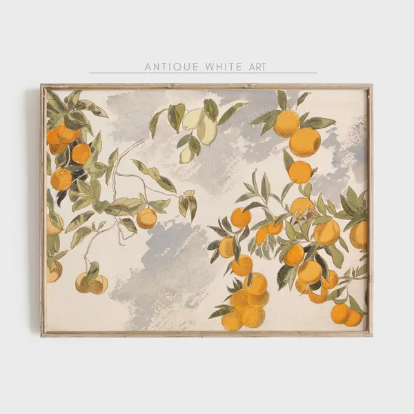 Orange Lemon Tree Vintage Botanical Art Print