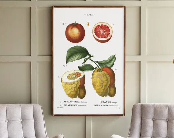 Citrus Botanical Art Print, Kitchen Wall Art