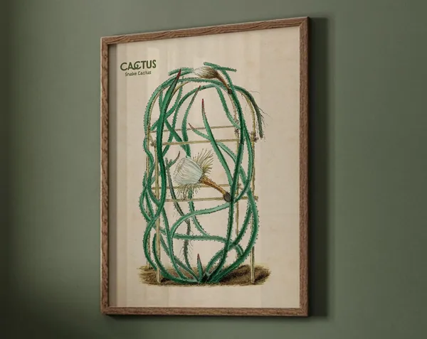 Cactus Wall Art, Desert Botanical Nursery Decor