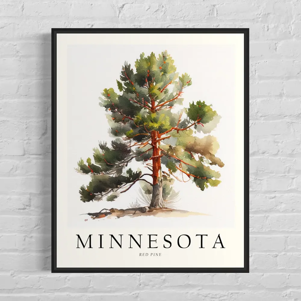 Minnesota State Tree Red Pine Art Print