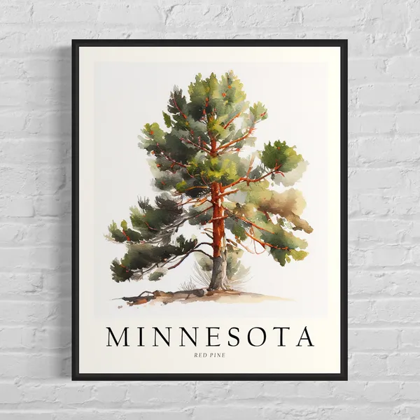Minnesota State Tree Red Pine Art Print
